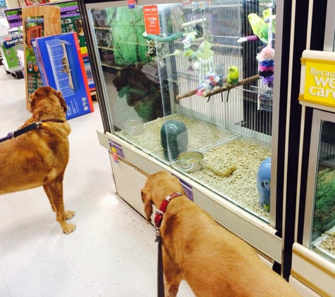 PetSmart - Warminster, PA