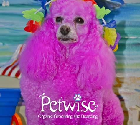 Petwise - Organic Pet Grooming & Boarding - Miami, FL
