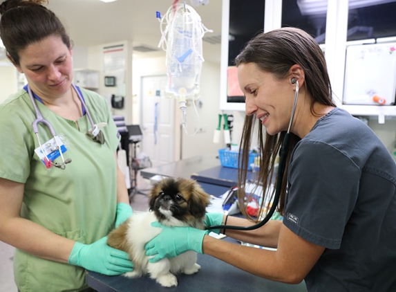 BluePearl Pet Hospital - Lakewood, WA