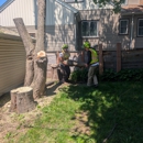 Trees by Forrest | Tree Removal Company in Plymouth, MN - Tree Service