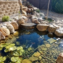 San Diego Ponds Koi Pond Installer - Ponds, Lakes & Water Gardens Construction