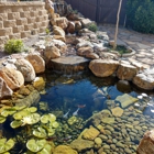 San Diego Ponds Koi Pond Installer