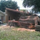 Briggs Tree Service - Stump Removal & Grinding
