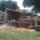 Briggs Tree Service - Tree Service