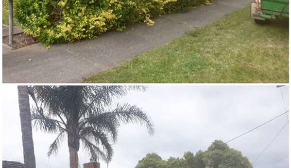 Rob's Tree Service - Tyers, VIC