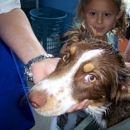 K-9 Tub Time - Pet Grooming