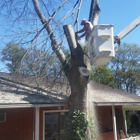 Falling Timbers Tree Service