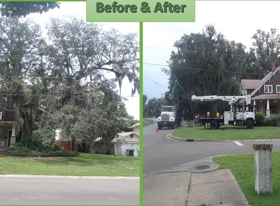 Tree Tech-Tree Service ,inc. - Fleming Island, FL