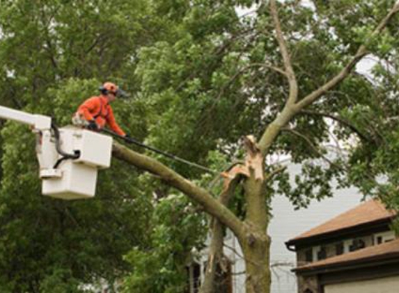 Kansas City Tree Services - Kansas City, MO