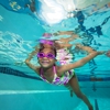 Goldfish Swim School - Okemos gallery