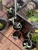 Beyond 2000 Pest Control - Pest Control Services