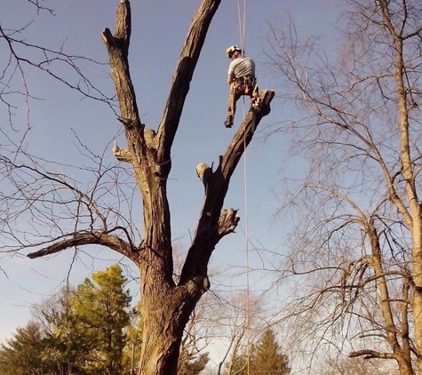 Go-Getter Tree Service - Villa Hills, KY