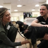 Valley Animal Hospital gallery