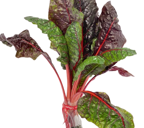 Organic Aqua Fresh, Inc - Miami, FL. Organic Swiss Chard