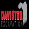 Davister Excavation gallery