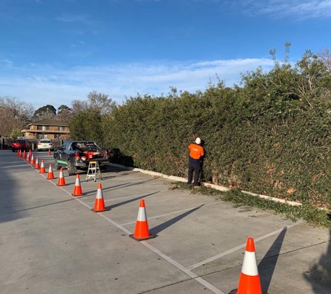 Roots 2 Leaves Tree Services Pty Ltd - Swan Reach, VIC
