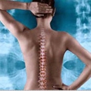 Lewis Chiropractic Center - Dr. Howard F. Lewis - Physical Therapy Clinics