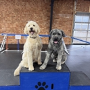 Off Leash K9 Training Winston-Salem