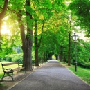Shearer Tree Service - Tree Service