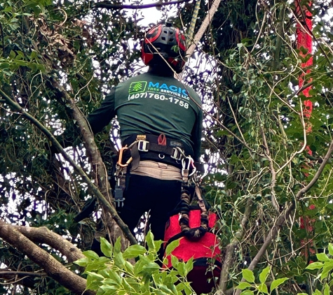 Magic Tree Service