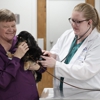 VCA Marshalltown Animal Hospital gallery