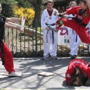 Martial Arts America - Self Defense Instruction & Equipment