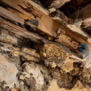 LBI Pest Control - Pest Control Equipment & Supplies