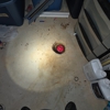 Family Rooter Plumbing and Sewer IL gallery