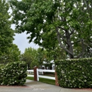 Evans School - Schools