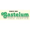 Gastelum  Tree Service gallery