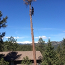 Mountain Family Tree Service - Tree Service