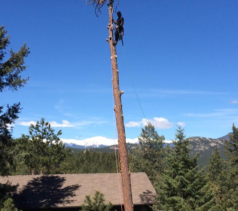 Mountain Family Tree Service - Evergreen, CO. Mountain Family Tree Service