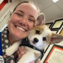 CityVet | Addison - Pet Services