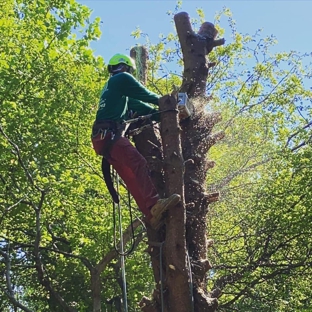 Cisneros Tree Service - Omaha, NE