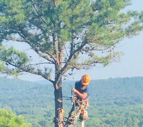 Afford Tree Service - Jacksonville, AR