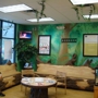 Jungle Dental Pediatric Dentistry