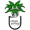 Urban Pothos Houseplant Shop gallery