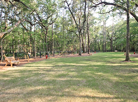 Carolina Bay - Rice Field by Centex Homes - Charleston, SC