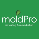 MoldPro - Mold Remediation