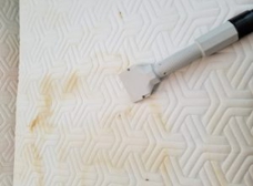 Professional Mattress Cleaning in Plano & Allen Texas