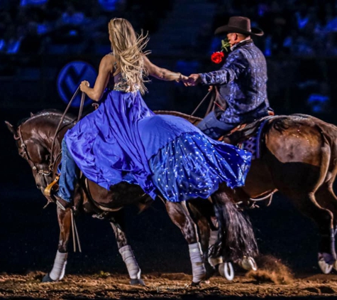 Schwartzenberger Equine - Longmont, CO