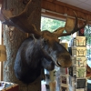 Mangy Moose gallery