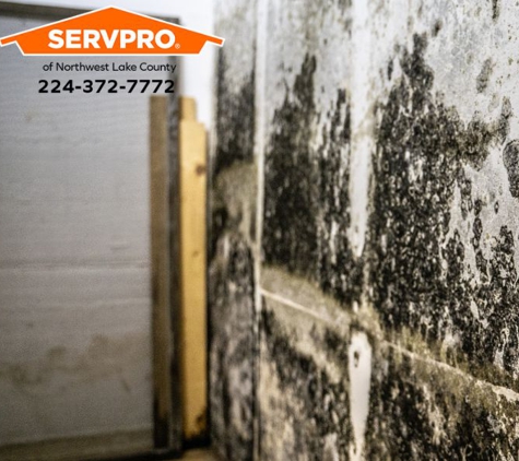 SERVPRO of Northwest Lake County - Lake Villa, IL