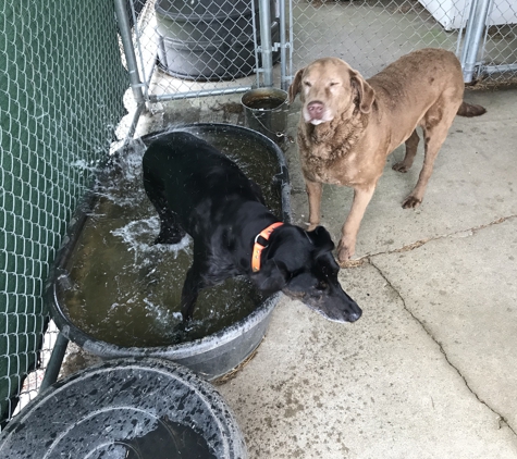 Blackman Animal Clinic PC - Jackson, MI