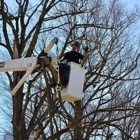 Sunderland Tree Service