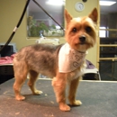 Groomin Room