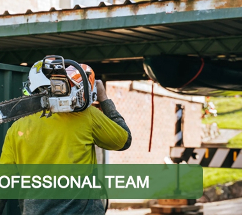 Curtis Tree Lopping Specialists. Professional Team