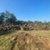 Texas Treescaping Experts gallery