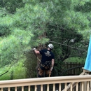 Innovative Tree Works - Tree Service