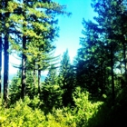 The Sequoia Retreat Center